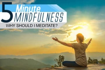 Why Should I Meditate? (Module 14)