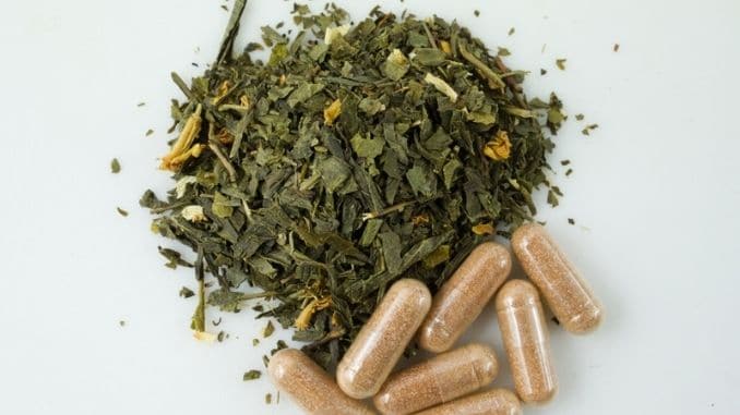Green tea herbs and extract capsules