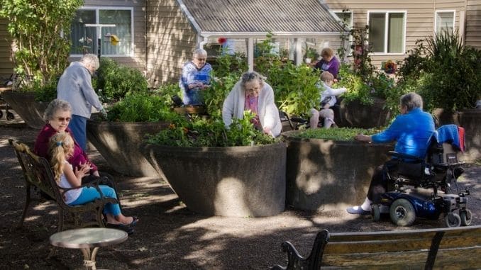 Assisted Living Gardening Group