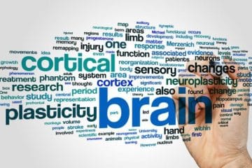 Neuroplasticity: Keeping the Brain Healthy