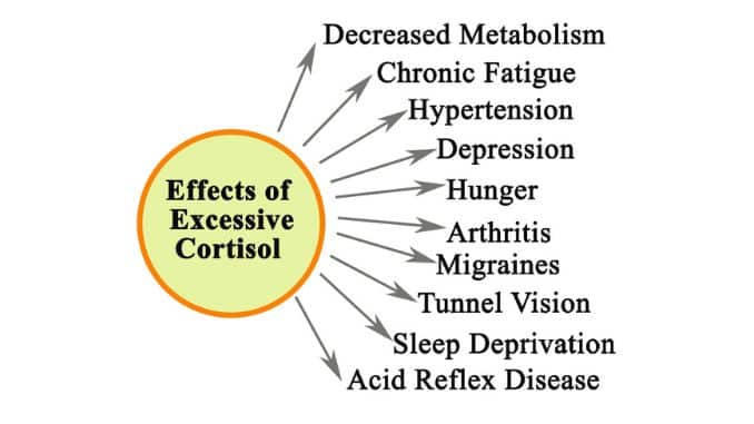 Ten Effects of Excessive Cortisol