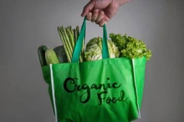 Importance Of Eating Organic Foods