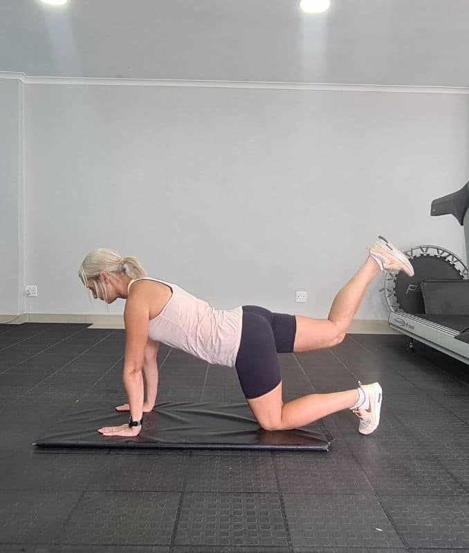 Knee Plank with Kick Back Lateral view 2 - Workout for Beginners and Seniors