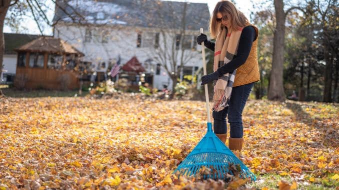 Warming your body for raking leaves - Raking Leaves Exercises