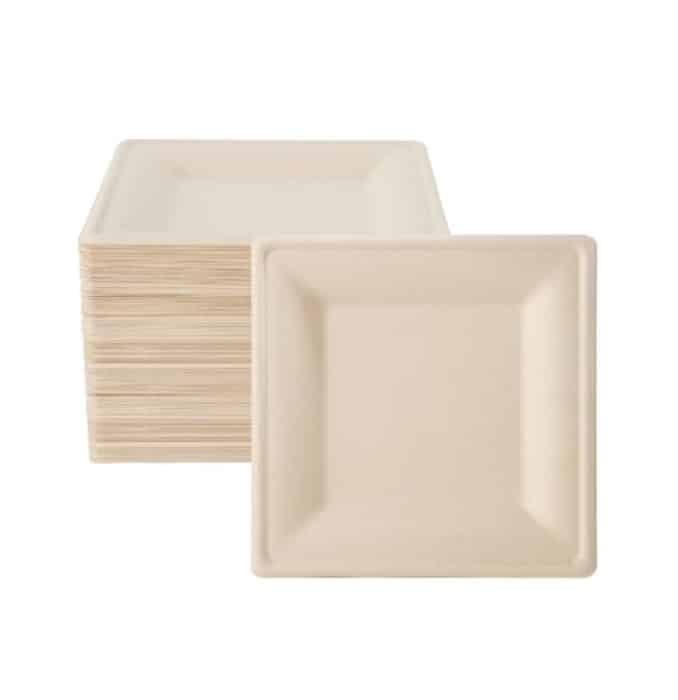 eCOLipak 100 Packs Compostable Square Plates - christmas disposal plate