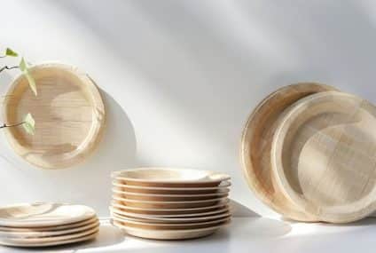 Disposable Christmas Plates for a Sustainable Holiday